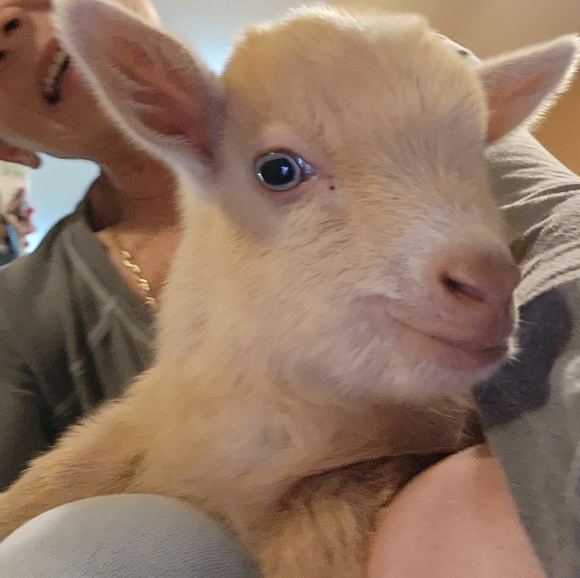 Meet your Posher, Mary - Picture 9 of 16